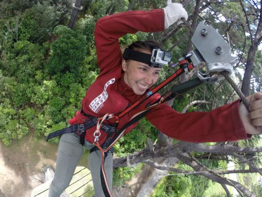 Adrenalin Forest Christchurch