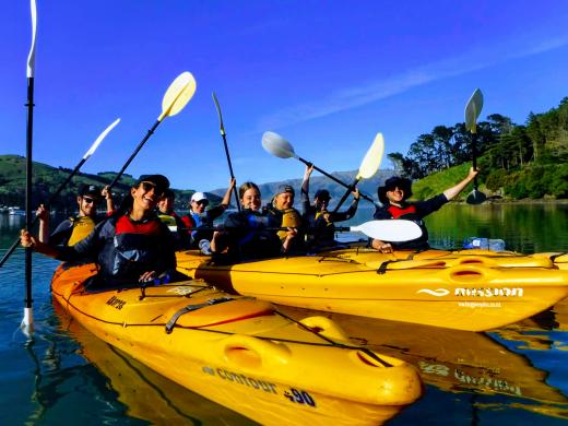 Akaroa Guided Kayak Safari