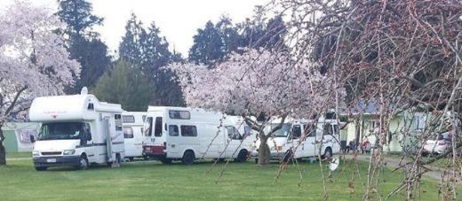 Winchester Motor Camp