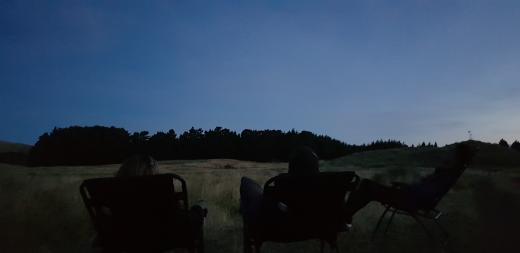 Southern Skies Stargazing with Horizon Tours