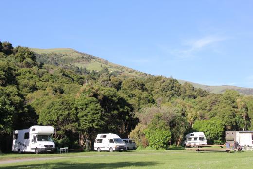 Manaia Native Habitat
