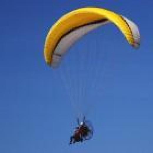 ParaPro