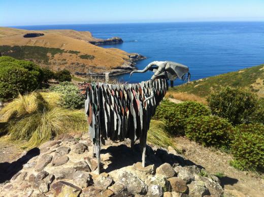 Akaroa Day Tour