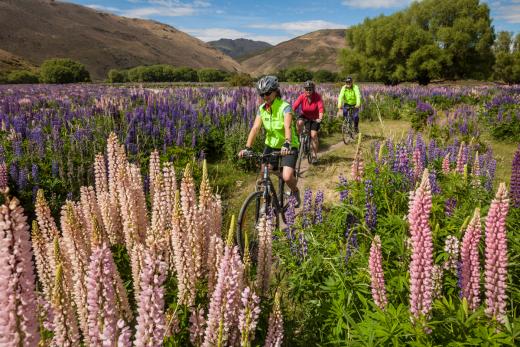 Cycle Journeys - A2O Cycle Trail 