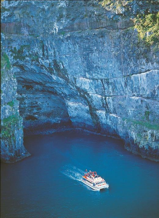 Akaroa Day Tour from Christchurch