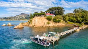 Port To Port Cruises and Wildlife Tours - Ōtepoti | Dunedin New Zealand official website