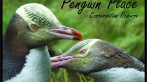 Penguin Place Guided Tours - Ōtepoti | Dunedin New Zealand official website
