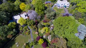 Glenfalloch Woodland Garden - Ōtepoti | Dunedin New Zealand official website