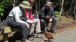 Nature Quest New Zealand - Ōtepoti | Dunedin New Zealand official website