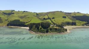 Tayler Point - Ōtepoti | Dunedin New Zealand official website