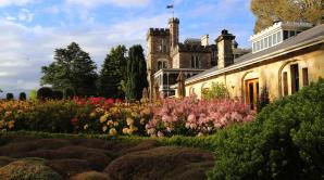 Larnach Castle Gardens - Ōtepoti | Dunedin New Zealand official website