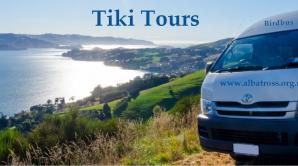 Tiki Tours - Ōtepoti | Dunedin New Zealand official website