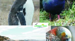 4 Nature - Ōtepoti | Dunedin New Zealand official website
